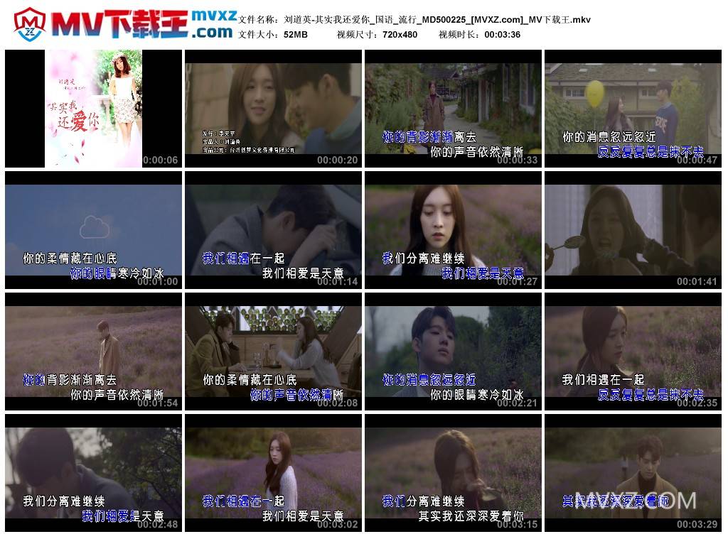 刘道英-其实我还爱你_国语_流行_MD500225